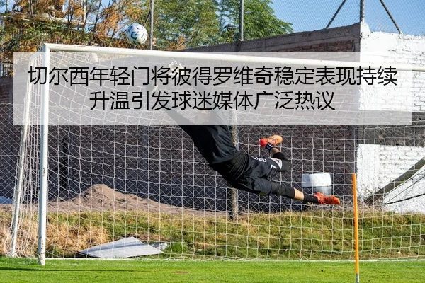 切尔西年轻门将彼得罗维奇稳定表现持续升温引发球迷媒体广泛热议